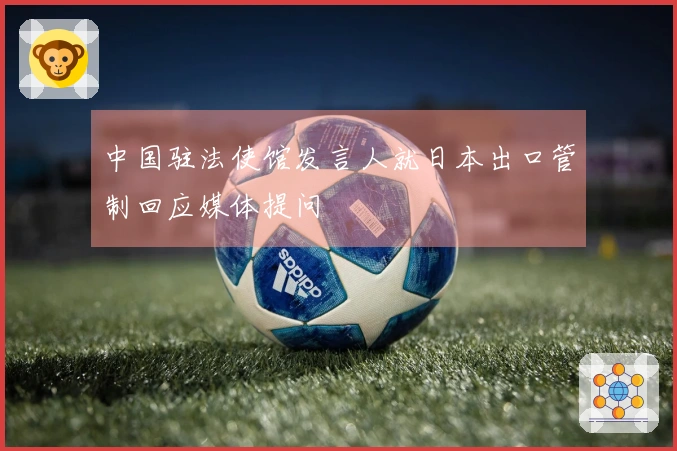 中国驻法使馆发言人就日本出口管制回应媒体提问