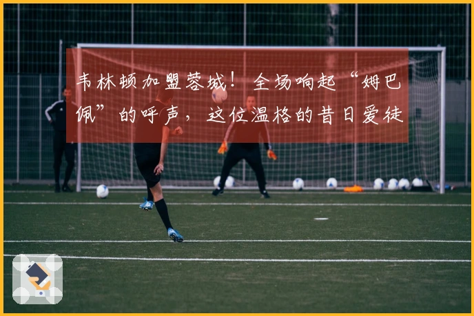 韦林顿加盟蓉城！全场响起“姆巴佩”的呼声，这位温格的昔日爱徒再度崭露头角